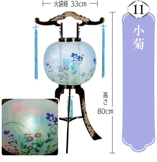 小菊
