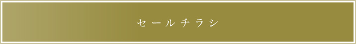 セールチラシ